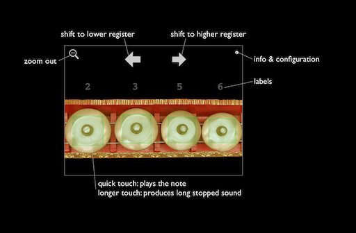 Instruction: Zoom View